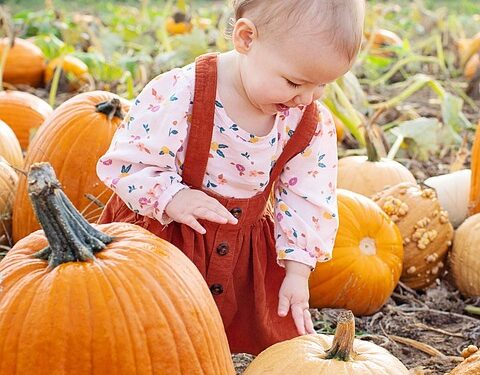 Nurturing Independence: Empowering Toddlers to Thrive on Their Own