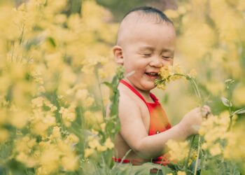 The ABCs of Toddler Sleep: Understanding and Navigating their Nighttime Routines