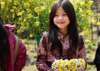 Nurturing Little Hearts: Fostering Emotional Intelligence in Children