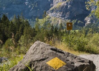 Mastering the Potty: A Parent’s Guide to Successful Toilet Training