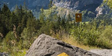 Mastering the Potty: A Parent’s Guide to Successful Toilet Training